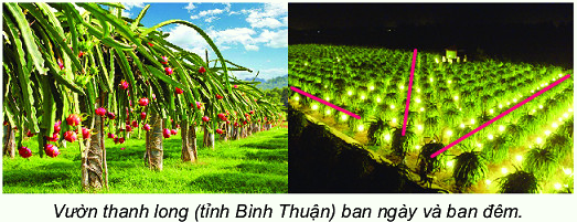 Ba điểm thẳng hàng 4 2