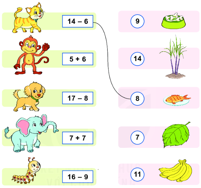 Bài 14: Luyện tập chung 11
