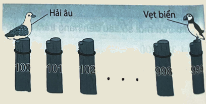 Bài 16. Luyện tập chung (tiết 3) trang 46 Vở thực hành Toán 4 5