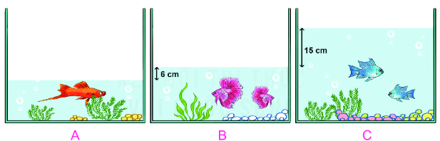 Bài 21. Luyện tập chung 11