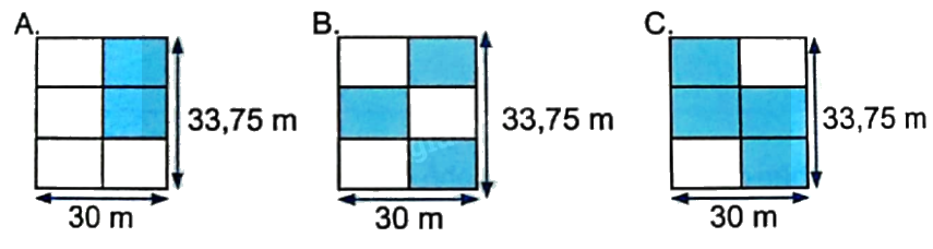 Bài 24: Luyện tập chung (tiết 3) trang 81 vở bài tập Toán 5 - Kết nối tri thức 3 1