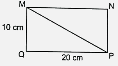 Bài 25: Hình tam giác. Diện tích hình tam giác (tiết 3) trang 86 vở bài tập Toán 5 - Kết nối tri thức 2
