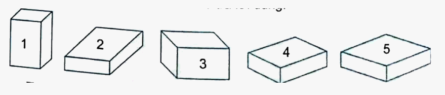 Bài 28: Thực hành và trải nghiệm đo, vẽ, lắp ghép, tạo hình (tiết 1) trang 103 vở bài tập Toán 5 - Kết nối tri thức 2