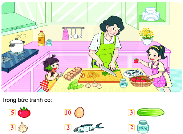 Bài 67: Thực hành và trải nghiệm thu thập, phân loại, kiểm đếm số liệu 2