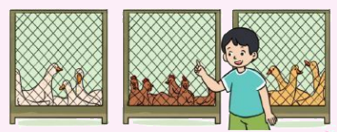 Các số có ba chữ số (tiếp theo) 7
