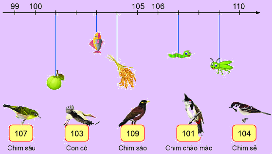 Các số từ 101 đến 110 9