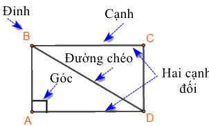 Dạng 1. Đặc điểm của một số hình phẳng quan trọng Chủ đề 8 Ôn hè Toán 6 0 11