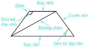 Dạng 1. Đặc điểm của một số hình phẳng quan trọng Chủ đề 8 Ôn hè Toán 6 17