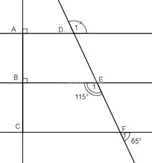 Đề cương ôn tập học kì 1 Toán 7 - Kết nối tri thức 24