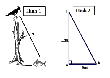 Đề cương ôn tập học kì 1 Toán 8 - Cánh diều 7