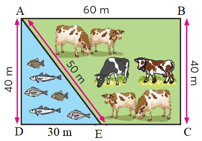 Đề kiểm tra học kì 1 Toán 3 Cánh diều - Đề số 9 2
