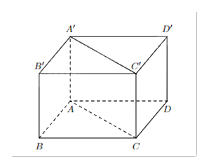 Đề thi giữa kì 1 Toán 11 Chân trời sáng tạo - Đề số 6 0 2