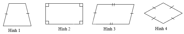 Đề thi giữa kì 1 Toán 6 - Đề số 8 2