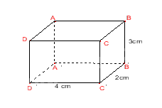 Đề thi giữa kì 1 Toán 7 - Đề số 7 6