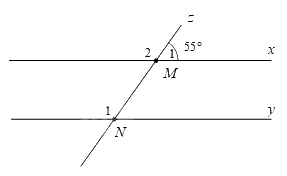 Đề thi giữa kì 1 Toán 7 - Đề số 7 - Kết nối tri thức 0 2