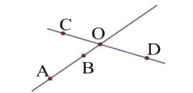 Đề thi giữa kì 2 Toán 6 - Đề số 2 - Cánh diều 1