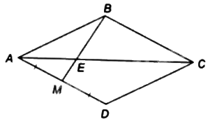 Đề thi giữa kì 2 Toán 8 - Đề số 6 - Cánh diều 1 2