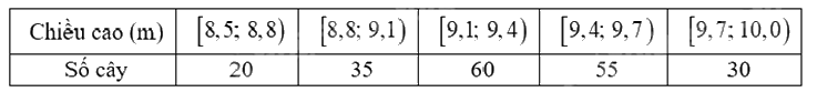 Đề thi học kì 1 Toán 12 Cánh diều - Đề số 2 0 11