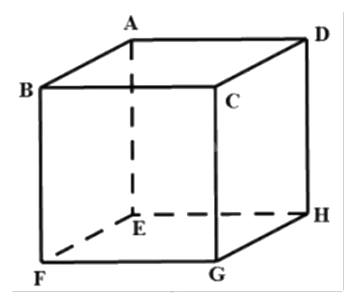 Đề thi học kì 1 Toán 12 Cánh diều - Đề số 3 0 5