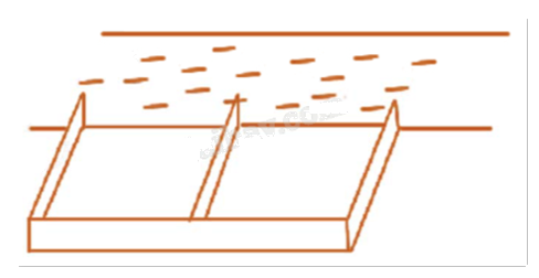 Đề thi học kì 1 Toán 12 Kết nối tri thức - Đề số 1 0 7
