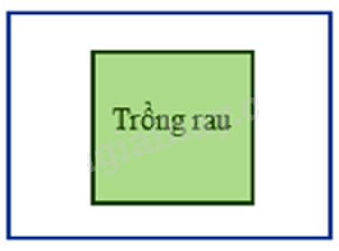 Đề thi học kì 1 Toán 6 - Đề số 14 - Chân trời sáng tạo 0 3