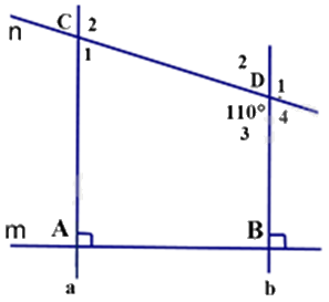 Đề thi học kì 1 Toán 7 Cánh diều - Đề số 11 0 6