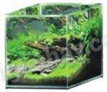 Đề thi học kì 1 Toán 7 Chân trời sáng tạo - Đề số 16 0 4