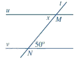 Đề thi học kì 1 Toán 7 Chân trời sáng tạo - Đề số 16 0 6