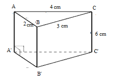 Đề thi học kì 1 Toán 7 - Đề số 4 - Chân trời sáng tạo 0 5