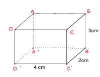 Đề thi học kì 1 Toán 7 - Đề số 9 - Cánh diều 2