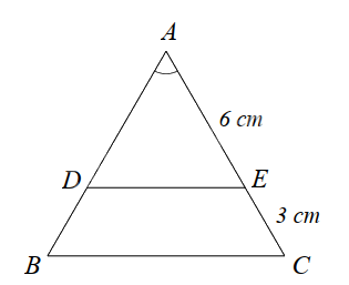 Đề thi học kì 2 Toán 8 - Đề số 1 - Chân trời sáng tạo 0 1