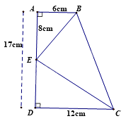 Đề thi học kì 2 Toán 8 - Đề số 5 - Cánh diều 0 2