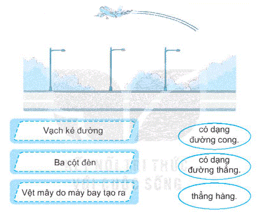 Giải bài 25: Điểm, đoạn thẳng, đường thẳng, đường cong, ba điểm thẳng hàng (tiết 2) trang 95, 96 Vở bài tập toán 2 - Kết nối tri thức với cuộc sống 5