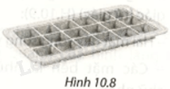Giải bài 3 (10.9) trang 95 vở thực hành Toán 7 tập 2 1