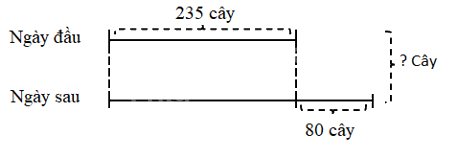Giải bài 44: Ôn tập chung (tiết 2) trang 114 vở bài tập Toán 3 - Kết nối tri thức với cuộc sống 6