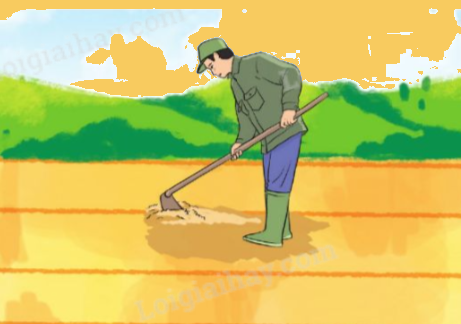Giải bài 71: Luyện tập trang 60, 61, 62 vở bài tập Toán 5 - Cánh diều 3