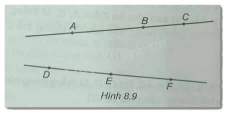 Giải Bài 8.10 trang 43 sách bài tập Toán 6 Kết nối tri thức với cuộc sống 1