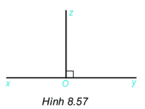 Giải bài 8.43 trang 67 SGK Toán 6 Kết nối tri thức với cuộc sống 1
