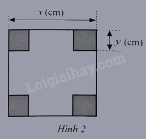 Giải bài 8 trang 34 sách bài tập toán 8 - Cánh diều 1