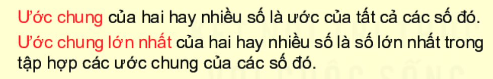 Giải câu hỏi trắc nghiệm trang 36 vở thực hành Toán 6 1 1