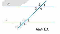 Giải Câu hỏi trắc nghiệm trang 47,48 sách bài tập Toán 7 Kết nối tri thức với cuộc sống 7 1