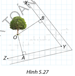 Giải câu hỏi trang 107, 108, 109 SGK Toán 9 tập 1 - Cùng khám phá 3