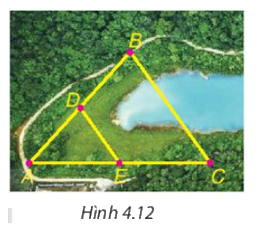 Giải câu hỏi trang 81, 82 SGK Toán 8 tập 1 - Kết nối tri thức 5
