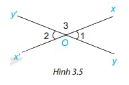 Giải mục 1 trang 41, 42, 43 SGK Toán 7 tập 1 - Kết nối tri thức 6