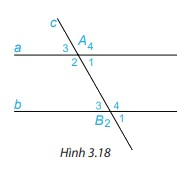 Giải mục 1 trang 46, 47 SGK Toán 7 tập 1 - Kết nối tri thức 3
