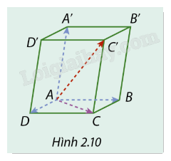 Giải mục 1 trang 55, 56, 57, 58 SGK Toán 12 tập 1 - Cùng khám phá 4