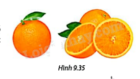Giải mục 1 trang 77, 78, 79 SGK Toán 9 tập 2 - Cùng khám phá 2