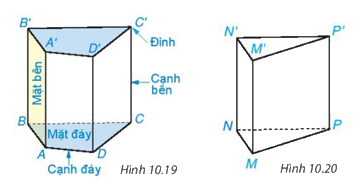 Giải mục 1 trang 94, 95 SGK Toán 7 tập 2 - Kết nối tri thức 2