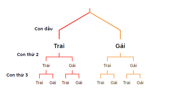 Giải mục 2 trang 84, 85 SGK Toán 10 tập 2 - Kết nối tri thức 2