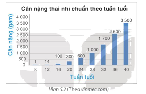 Giải mục 2 trang 94, 95 SGK Toán 8 tập 1 - Kết nối tri thức 1